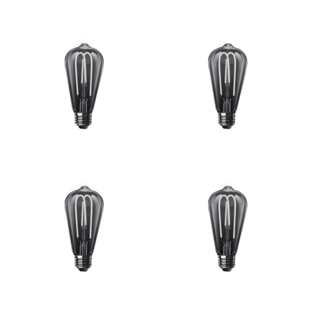 Feit Electric 40-Watt Equivalent ST19 Dimmable LED Smoke Glass Vintage Edison Light Bulb With M Shape Filament Daylight (4-Pack)