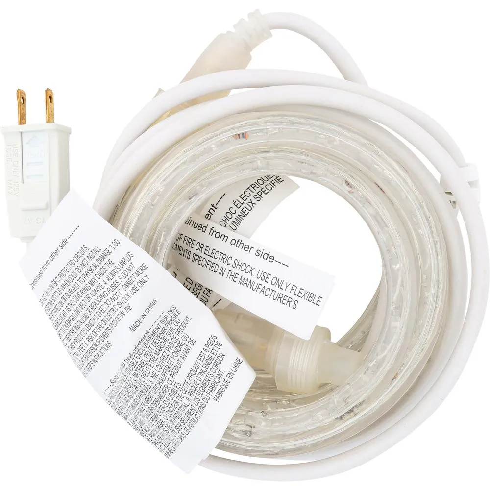 Indoor/Outdoor 6 ft. White LED Rope Light Kit